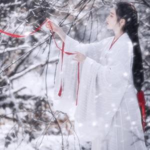 波多野氏一本二本三本
